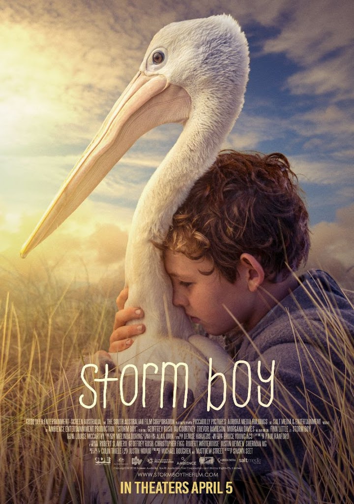 We adopted a Pelican! #StormBoy