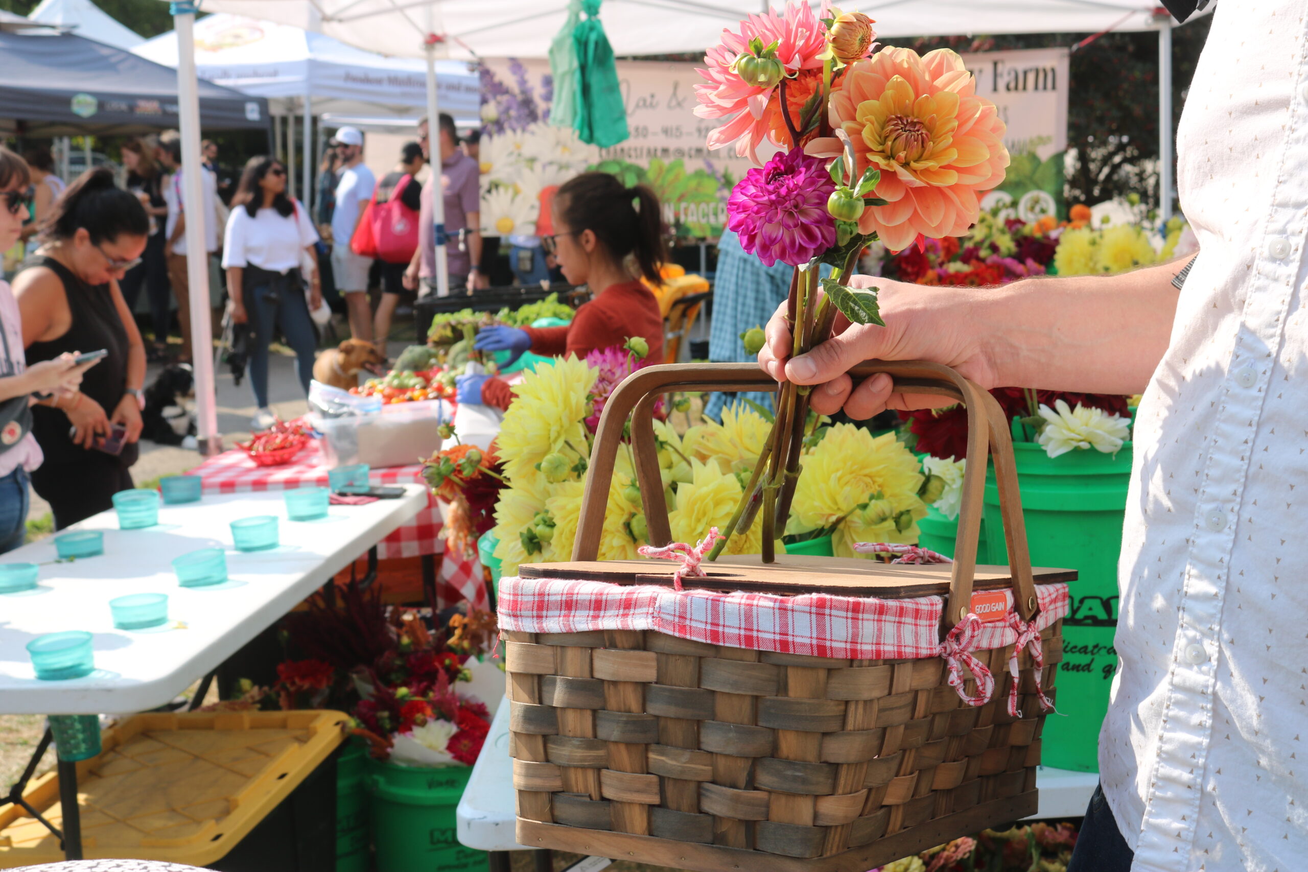 Halloween Weekend in Wicker Park
